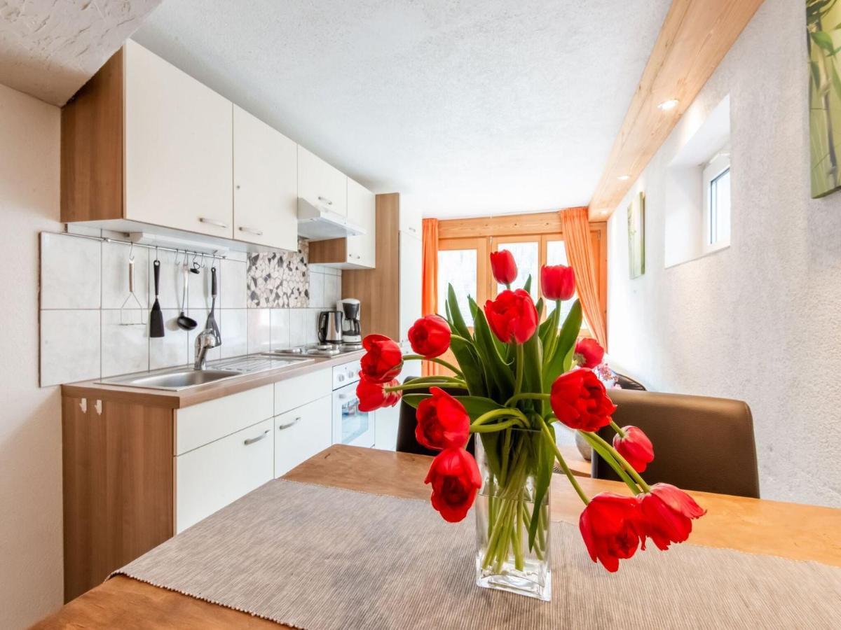 Apartment In The Silvretta-Montafon Ski Area Sankt Gallenkirch Dış mekan fotoğraf